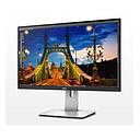 DELL 25IN LED WIDESCREEN MONITOR U2515H
