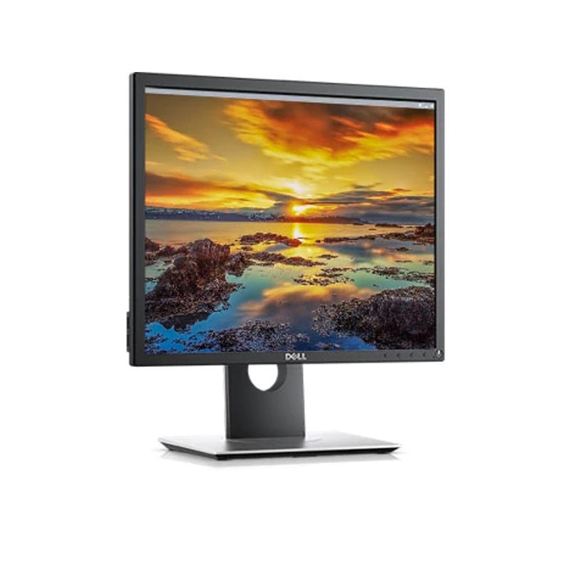 DELL 19IN MONITOR P1917S