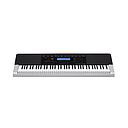 CASIO 76-KEY STANDARD KEYBOARD WK-240