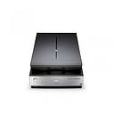 EPSON PERFECTION FLATBED PHOTO SCANNER V800