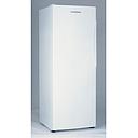FISHER & PAYKEL 1 DR VERTICAL FREEZER (GROSS 304L) E308LW2