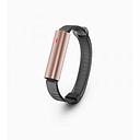 MISFIT WRIST BANDS RAY ROSE GOLD SPORTBAND