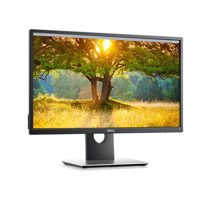 DELL 24IN MONITOR P2417H